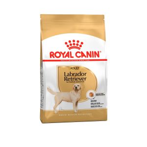 Royal Canin Adulto Labrador 12 Kgs