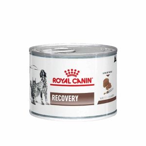 Royal Canin Lata Recovery 145 Grs