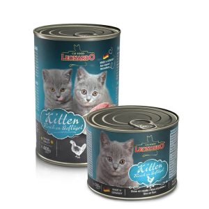 Leonardo Latas Quality Selection Kitten